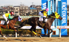 浦和競馬場