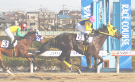 浦和競馬場