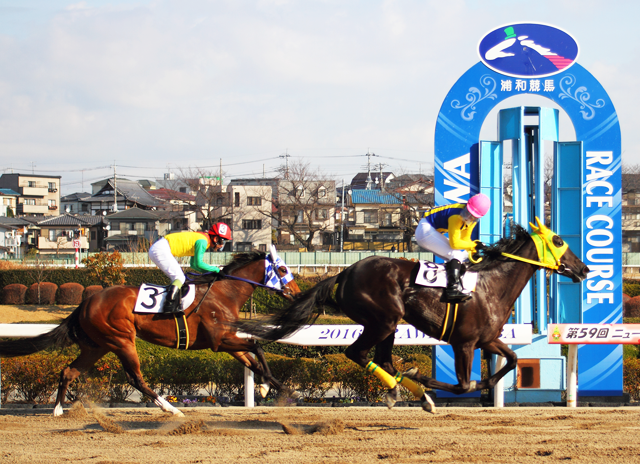 浦和競馬場